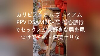 カリビアンコム プレミアム PPV DSAMBD-20 傷心旅行でセックスが大好きな男を見つけてやる - 深美せりな