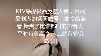 KTV爆操极品反差人妻，挑战最刺激的场所做爱，高冷给谁看 操爽了比谁都叫的声音大 平时有多高冷 床上就有多饥渴 (2)