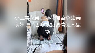 小宝寻花第二场花裙苗条甜美萌妹子，舌吻摸奶调情侧入猛操