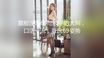 露脸淫荡母狗,被干的大叫，口活一流，互玩69姿势