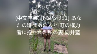 (中文字幕) [NSPS-991] あなたの嫌うあの人と 町の権力者に抱かれた私の妻 向井藍