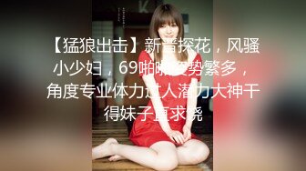 【猛狼出击】新晋探花，风骚小少妇，69啪啪姿势繁多，角度专业体力过人潜力大神干得妹子直求饶